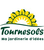 Tournesols